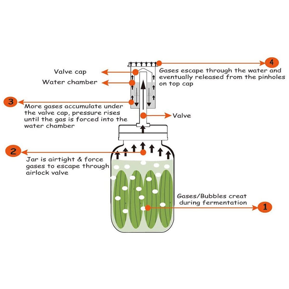 Wine Beer Cider - 4 قطع غطاء تخمير ومانع تسرب